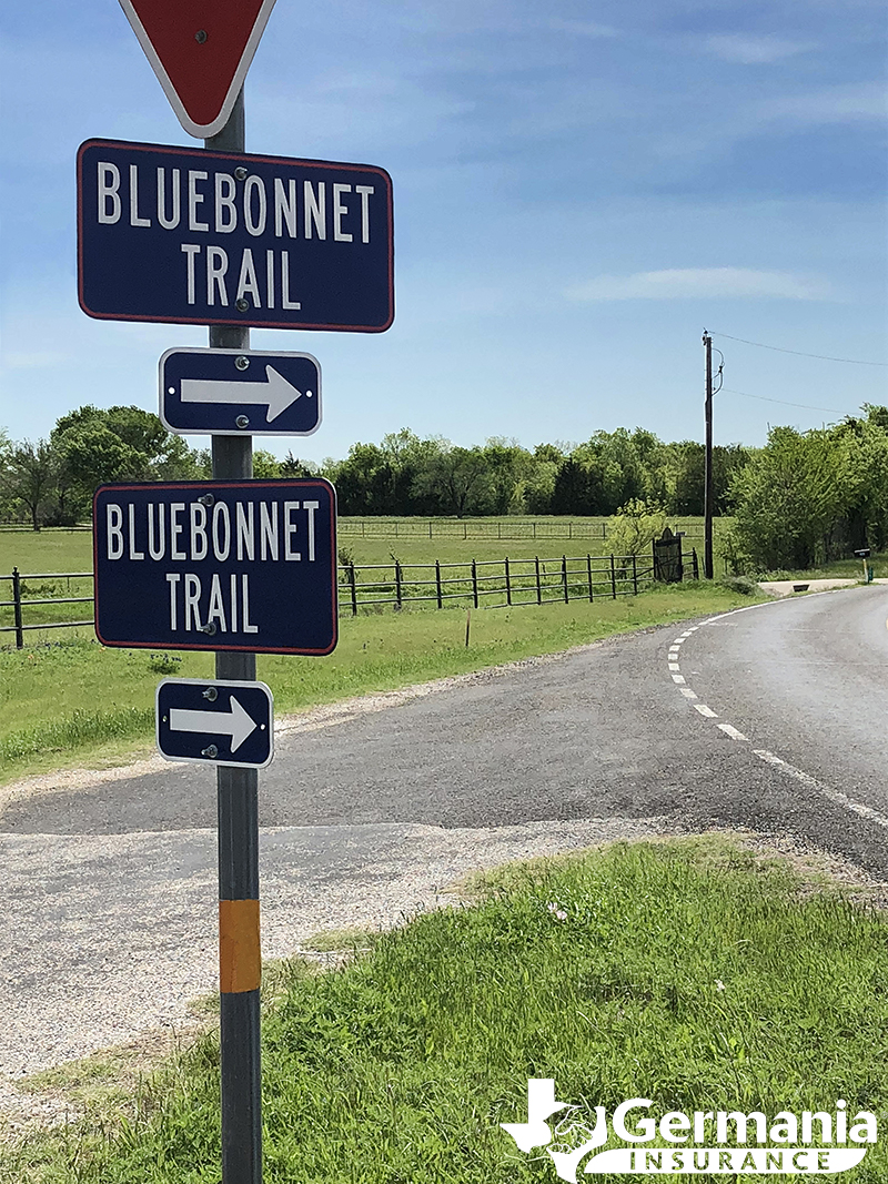 Bluebonnet trail signs in Ennis Texas