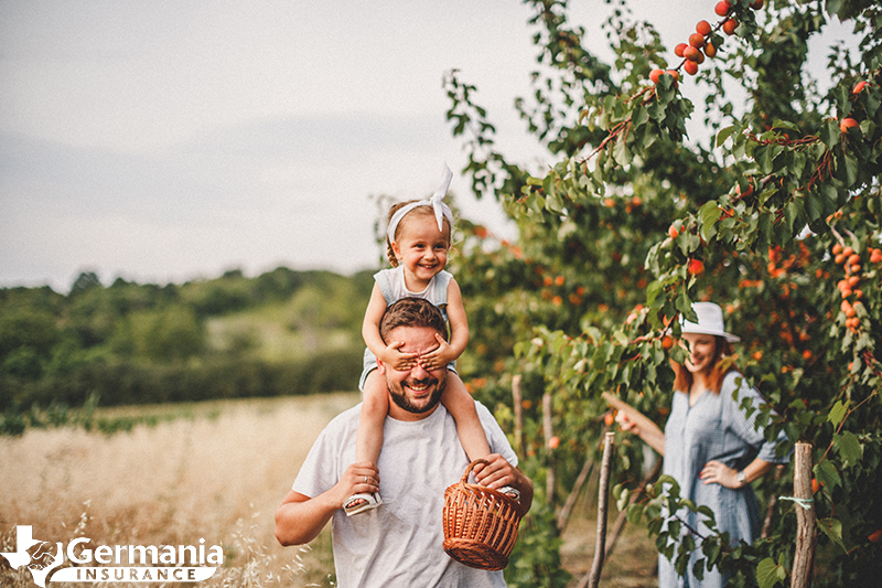 A family picking fruit on a farm for agritainment