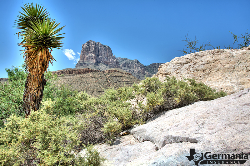 Guadalupe Mountain National Park in Texas