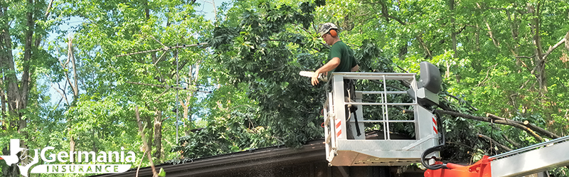 A man removing a fallen tree from a roof