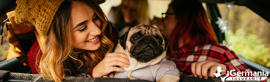 A woman with her dog on a road trip