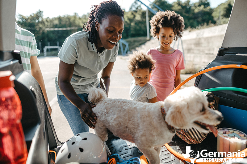 A family on a road trip with their dog