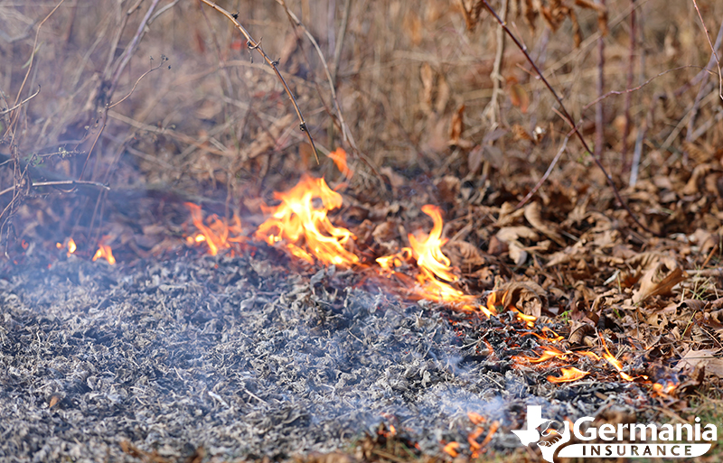 The small flame that causes a wildfire to start and spread.