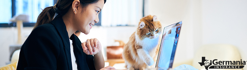 A woman working at her home business with her cat