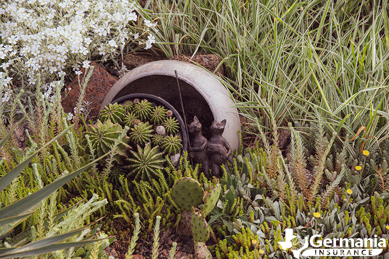 Landscaping with native and adapted Texas plants to conserve water.