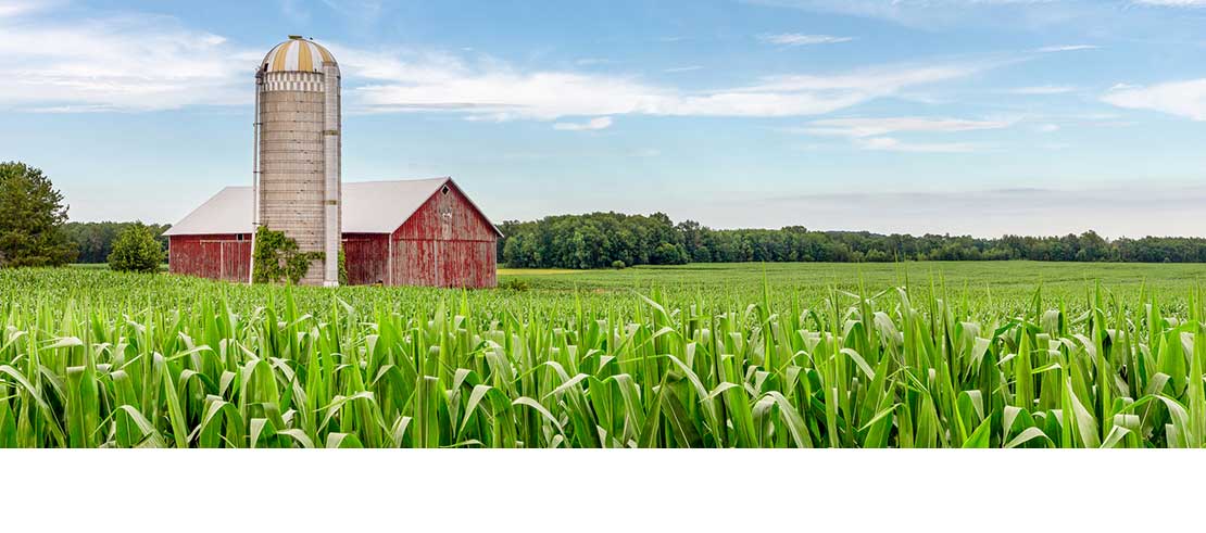 Texas Farm Insurance