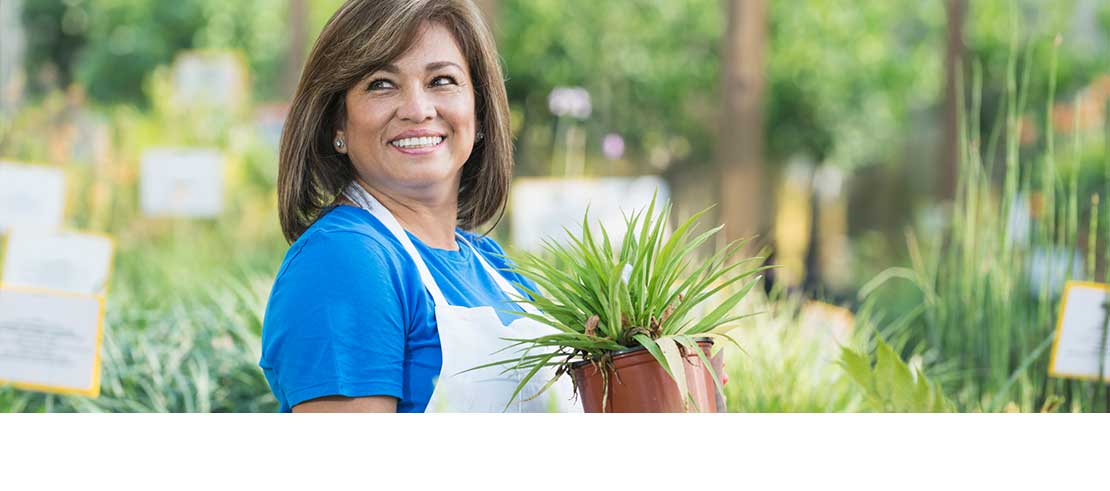 Term Life insurance